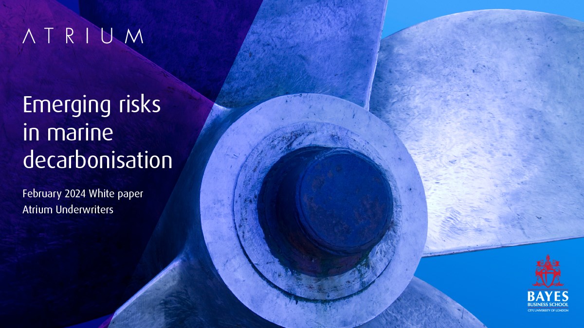 Emerging Risks in Marine Decarbonisation: Time to set sail